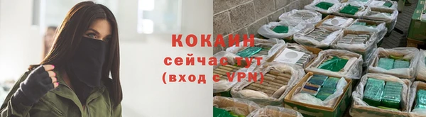 ПСИЛОЦИБИНОВЫЕ ГРИБЫ Абинск