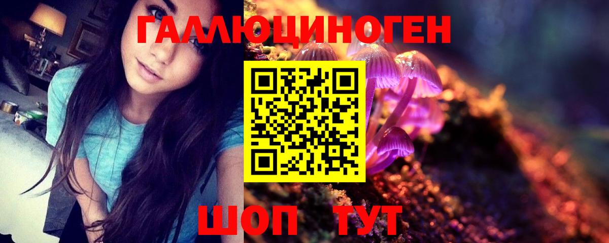Раменское  Галлюциногенные грибы Cubensis  Вход с VPN 